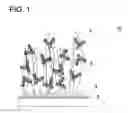 Fig. 02 - Assay method and kit for assay employing sensor chip for fluorescent measuring apparatus utilizing surface plasmon-field enhanced fluorescence spectrometry