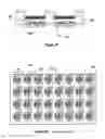 Fig. 12 - Methods of building crystalline silicon solar cells for use in combinatorial screening
