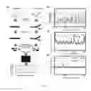 Fig. 03 - COMPOSITIONS AND METHODS FOR GENOME-WIDE MAPPING OF CHROMOSOME BREAKAGE AND OTHER METHODS FOR MANIPULATION OF CELLS EMBEDDED IN MATRIX