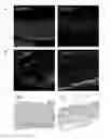 Fig. 01 - Peptide based peroxidase inhibitors and methods of using same