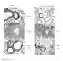 Fig. 05 - Peptide based peroxidase inhibitors and methods of using same