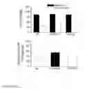 Fig. 08 - Peptide based peroxidase inhibitors and methods of using same