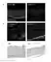 Fig. 16 - Peptide based peroxidase inhibitors and methods of using same