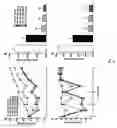 Fig. 22 - Exendin variant and conjugate thereof