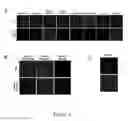 Fig. 02 - Compositions and methods to control angiogenesis with cupredoxins