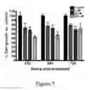 Fig. 08 - Compositions and methods to control angiogenesis with cupredoxins