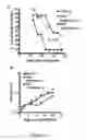 Fig. 09 - Compositions and methods to control angiogenesis with cupredoxins