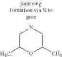 Fig. 101 - Novel Quinoline-Hepcidine Antagonists