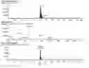 Fig. 21 - Novel Quinoline-Hepcidine Antagonists
