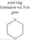 Fig. 52 - Novel Quinoline-Hepcidine Antagonists
