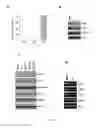 Fig. 09 - Stilbene analogs and methods of treating cancer