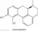 Fig. 05 - CATECHOLAMINE DERIVATIVES AND PRODRUGS THEREOF