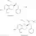 Fig. 19 - CATECHOLAMINE DERIVATIVES AND PRODRUGS THEREOF