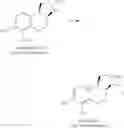 Fig. 40 - CATECHOLAMINE DERIVATIVES AND PRODRUGS THEREOF
