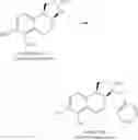 Fig. 43 - CATECHOLAMINE DERIVATIVES AND PRODRUGS THEREOF