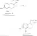 Fig. 48 - CATECHOLAMINE DERIVATIVES AND PRODRUGS THEREOF