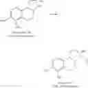 Fig. 50 - CATECHOLAMINE DERIVATIVES AND PRODRUGS THEREOF