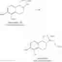 Fig. 55 - CATECHOLAMINE DERIVATIVES AND PRODRUGS THEREOF