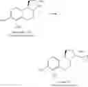 Fig. 60 - CATECHOLAMINE DERIVATIVES AND PRODRUGS THEREOF