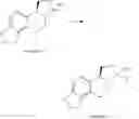 Fig. 64 - CATECHOLAMINE DERIVATIVES AND PRODRUGS THEREOF