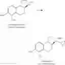 Fig. 69 - CATECHOLAMINE DERIVATIVES AND PRODRUGS THEREOF