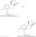 Fig. 74 - CATECHOLAMINE DERIVATIVES AND PRODRUGS THEREOF
