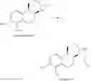 Fig. 77 - CATECHOLAMINE DERIVATIVES AND PRODRUGS THEREOF