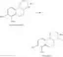 Fig. 80 - CATECHOLAMINE DERIVATIVES AND PRODRUGS THEREOF
