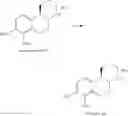 Fig. 85 - CATECHOLAMINE DERIVATIVES AND PRODRUGS THEREOF