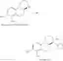 Fig. 98 - CATECHOLAMINE DERIVATIVES AND PRODRUGS THEREOF