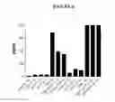 Fig. 07 - PYRIDINE NON-CLASSICAL CANNABINOID COMPOUNDS AND RELATED METHODS OF USE