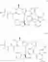 Fig. 22 - Diazonamide analogs
