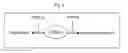Fig. 02 - ZNF206: A NOVEL REGULATOR OF EMBRYONIC STEM CELL SELF-RENEWAL AND PLURIPOTENCY