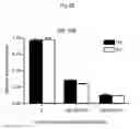 Fig. 06 - ZNF206: A NOVEL REGULATOR OF EMBRYONIC STEM CELL SELF-RENEWAL AND PLURIPOTENCY