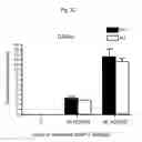 Fig. 07 - ZNF206: A NOVEL REGULATOR OF EMBRYONIC STEM CELL SELF-RENEWAL AND PLURIPOTENCY