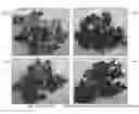 Fig. 01 - Asphalt paving materials and methods for making the same