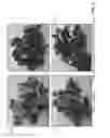 Fig. 03 - Asphalt paving materials and methods for making the same