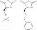 Fig. 23 - SYNTHESIS OF HOMOPOLYMERS AND BLOCK COPOLYMERS