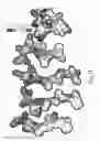 Fig. 11 - NOVEL ANTI-MICROBIAL PEPTIDOMIMETIC COMPOUNDS AND METHODS TO CALCULATE ANTI-MICROBIAL ACTIVITY