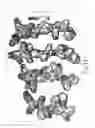 Fig. 16 - NOVEL ANTI-MICROBIAL PEPTIDOMIMETIC COMPOUNDS AND METHODS TO CALCULATE ANTI-MICROBIAL ACTIVITY
