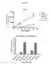 Fig. 11 - Modified interferon beta polypeptides and their uses