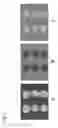 Fig. 08 - AZA-DIBENZOCYCLOOCTYNES AND METHODS OF MAKING AND USING SAME