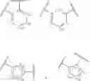 Fig. 09 - SIRTUIN MODULATING COMPOUNDS