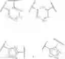 Fig. 13 - SIRTUIN MODULATING COMPOUNDS