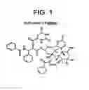 Fig. 02 - Pharmaceutical compositions containing paclitaxel orotate