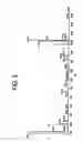 Fig. 04 - Pharmaceutical compositions containing paclitaxel orotate