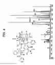 Fig. 05 - Pharmaceutical compositions containing paclitaxel orotate
