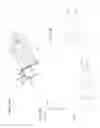 Fig. 32 - Ultrasonic probe with ultrasonic transducers addressable on common electrical channel