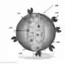 Fig. 01 - Nanocarriers for imaging and therapy applications