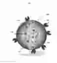 Fig. 02 - Nanocarriers for imaging and therapy applications